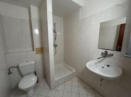 Pronájem bytu, 1+kk, 20 m²