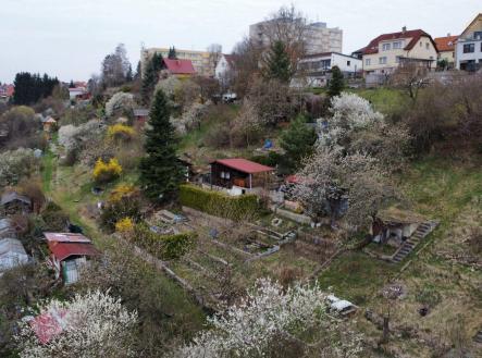 Pronájem - pozemek, zahrada, 245 m²