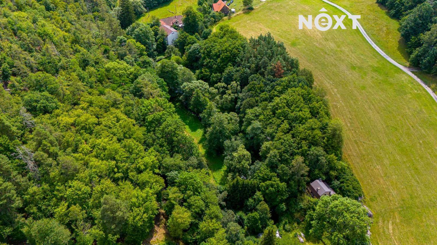 Prodej pozemek Louky, 4957㎡