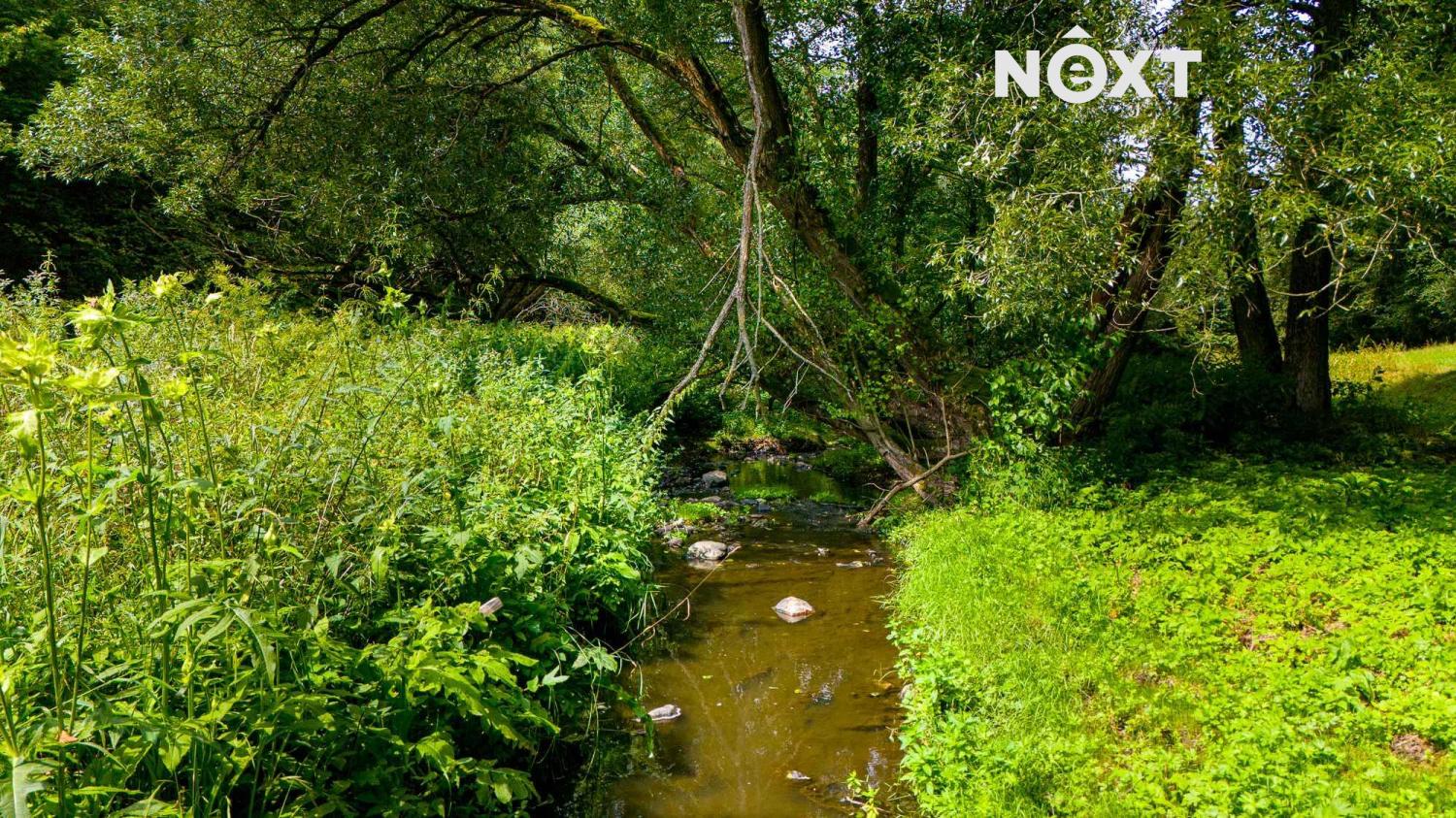 Prodej pozemek Louky, 4957㎡