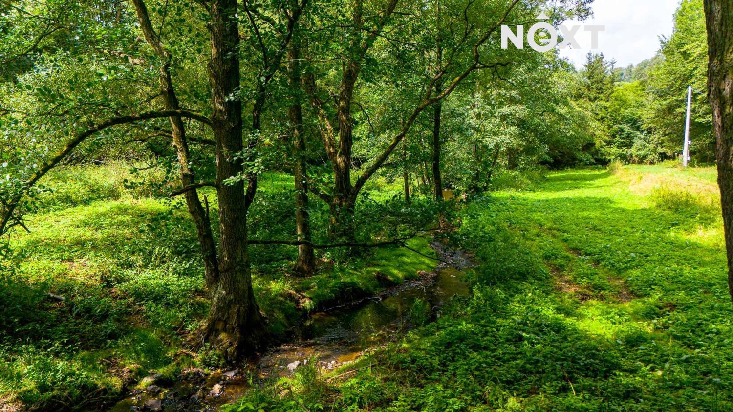 Prodej pozemek Louky, 4957㎡