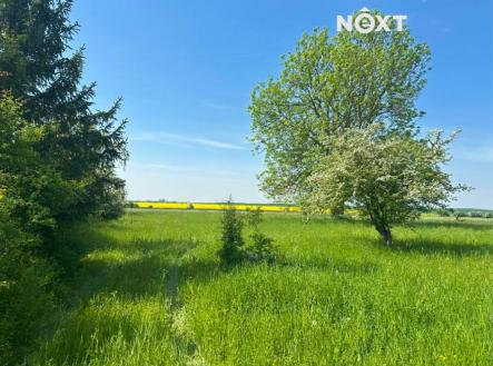 Prodej - pozemek pro bydlení, 2 024 m²