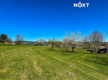 Prodej - pozemek pro bydlení, 3 181 m²