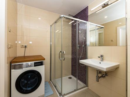 13.jpg | Pronájem bytu, 1+kk, 30 m²