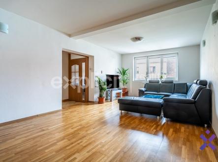 Podseky-Sony-2 | Prodej - dům/vila, 166 m²