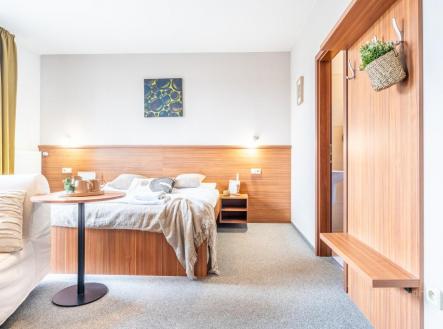 Prodej - hotel, 501 m²