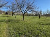 Prodej - pozemek,, 2 139 m²
