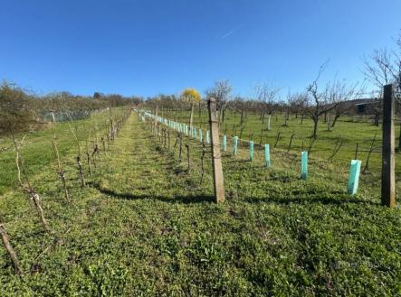 Prodej - pozemek,, 2 214 m²