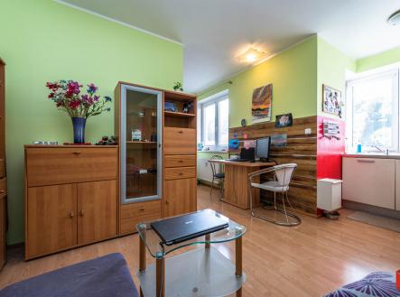 dsc-1728.jpg | Pronájem bytu, 1+kk, 27 m²
