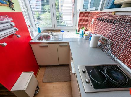 dsc-1729.jpg | Pronájem bytu, 1+kk, 27 m²