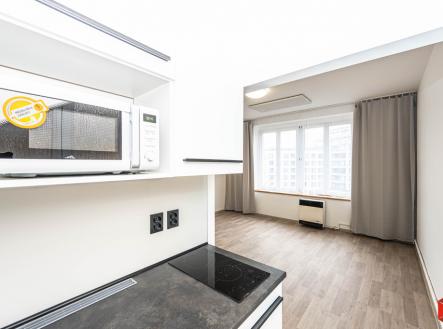 mh7-0069.jpg | Pronájem bytu, 1+kk, 30 m²