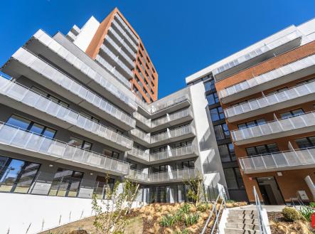 mh7-2062.jpg | Pronájem bytu, 2+kk, 53 m²