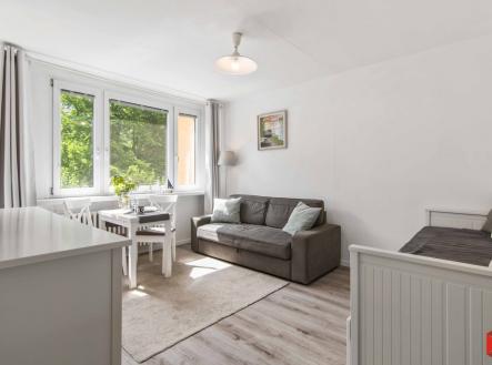 dsc09524-1.jpg | Prodej bytu, 1+kk, 33 m²
