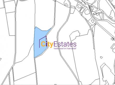 Prodej - pozemek, trvalý travní porost, 8 396 m²