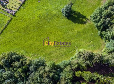 Prodej - pozemek, trvalý travní porost, 6 974 m²