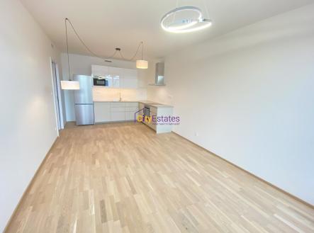 Obývací pokoj s kuchyňským koutem | Pronájem bytu, 2+kk, 55 m²