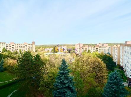 Pronájem bytu, 3+1, 67 m²