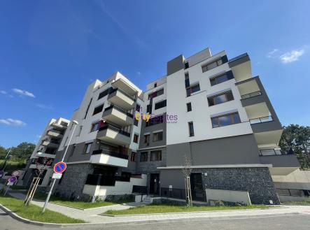 Pronájem bytu, 2+kk, 55 m²