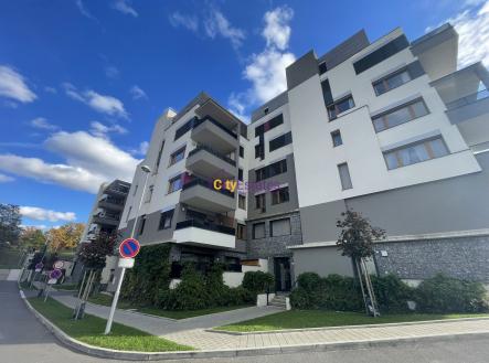 Pronájem bytu, 1+kk, 28 m²