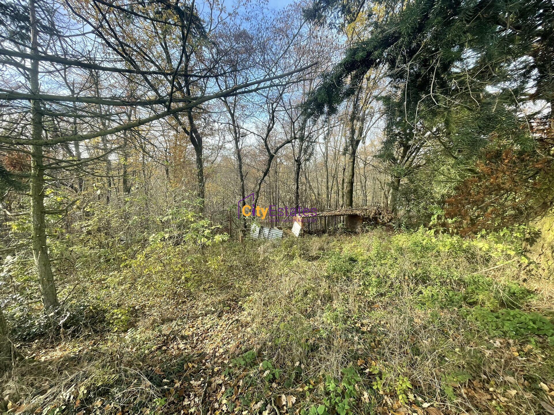 Dvě parcely vedle sebe o velikosti 1643 m2 kousek za Prahou u obce Popovičky