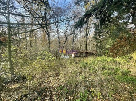 Prodej - pozemek, trvalý travní porost, 1 643 m²