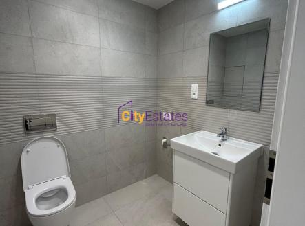 Pronájem bytu, 1+kk, 32 m²