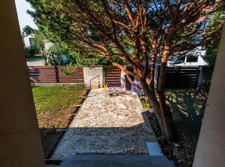 Pronájem - dům/vila, 212 m²