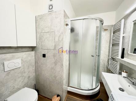 Pronájem bytu, 2+kk, 42 m²