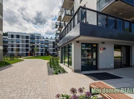 _mRaW-ri3Ms.jpg | Pronájem bytu, 3+kk, 72 m²