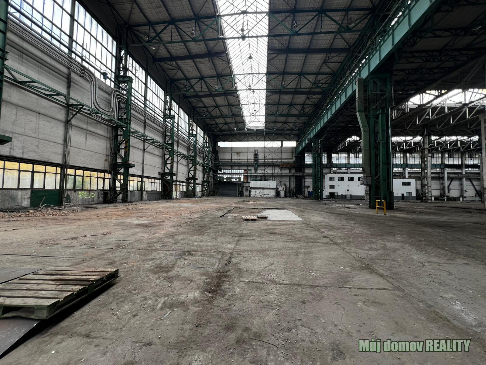 WhatsApp Image 2025-09-24 at 13.26.45.jpeg