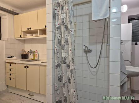 Obrázek WhatsApp, 2025-10-29 v 18.12.43_99666d83.jpg | Pronájem bytu, 1+1, 35 m²