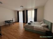 Pronájem bytu, 1+kk, 42 m²