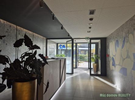 Obrázek WhatsApp, 2025-11-18 v 16.37.40_e63e1c73.jpg | Pronájem bytu, 2+kk, 58 m²