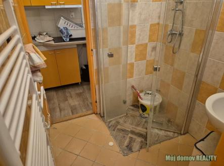 Obrázek WhatsApp, 2025-11-28 v 08.56.56_b019b4ac.jpg | Pronájem bytu, 3+1, 100 m²