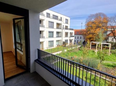 muzikova 3.jpg | Pronájem bytu, 2+kk, 52 m²