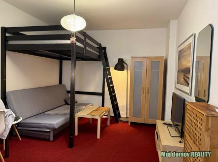 1760119025_g3N9afkLiQ.jpg | Pronájem bytu, 1+kk, 18 m²