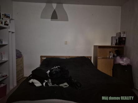 Obrázek WhatsApp, 2025-12-03 v 21.20.22_c91c5519.jpg | Pronájem - dům/vila, 45 m²