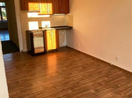 stažený soubor (8).jpg | Pronájem bytu, 2+kk, 49 m²
