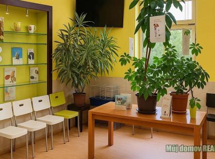 641419571_1662314868273003_6912182878832801498_n.jpg | Pronájem - obchodní prostor, 300 m²