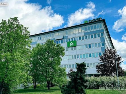 Pronájem - kanceláře, 100 m²