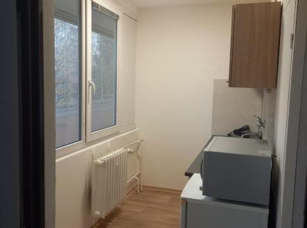 216572488 (5).jpg | Pronájem bytu, 3+1, 55 m²