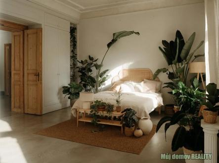 658405909_1687128162458340_3801057720356178704_n (1).jpg | Pronájem bytu, 2+1, 121 m²