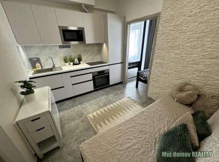 IMG_7064.jpg | Pronájem bytu, 2+kk, 28 m²