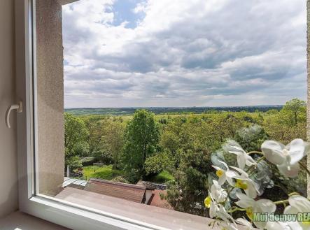 671734091_1700465427791280_3652041327671581934_n.jpg | Pronájem bytu, 1+kk, 18 m²