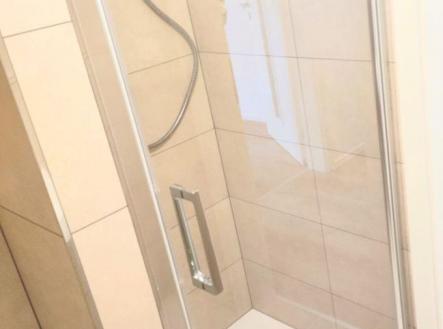 1776434504-mlxnuffqyv-9754.jpg | Pronájem bytu, 1+kk, 33 m²