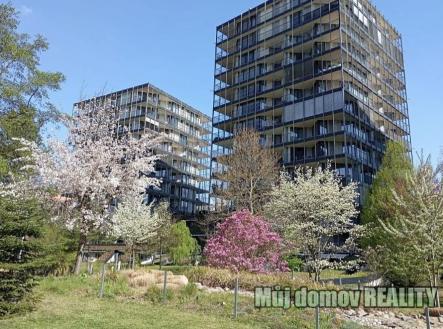 Screenshot_20260427_213603_Gallery.jpg | Prodej bytu, 2+kk, 78 m²