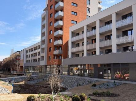 217207391 (5).jpg | Pronájem bytu, 2+kk, 53 m²