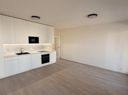 217207391.jpg | Pronájem bytu, 2+kk, 53 m²