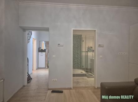 nab_489387831.jpg | Pronájem bytu, 2+kk, 50 m²
