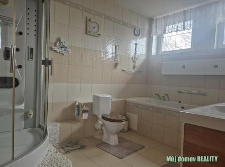 nab_489388293.jpg | Pronájem - dům/vila, 280 m²